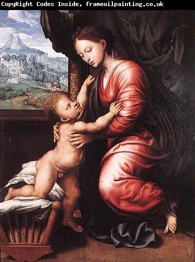 Jan van Hemessen Virgin and Child